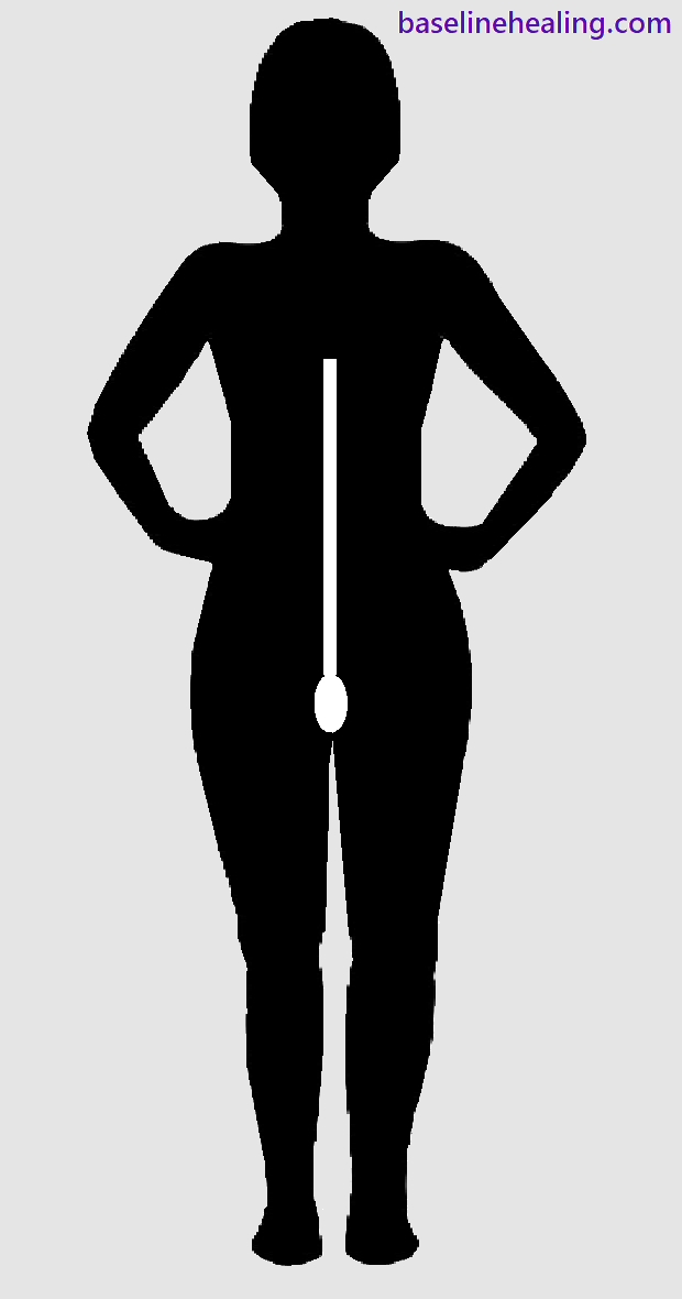 human figure from the front with a dot and line representing the pelvic floor muscles and the linea alba. Our primary guide for body alignment. When the pelvic floor and rectus abodminis muscles are fully activated and extended the body is correctly positioned to align with the body map in the mind. Imaging this line increases awareness of our sense of proprioception. Feeling our midline anatomy, seeing the sparkles.