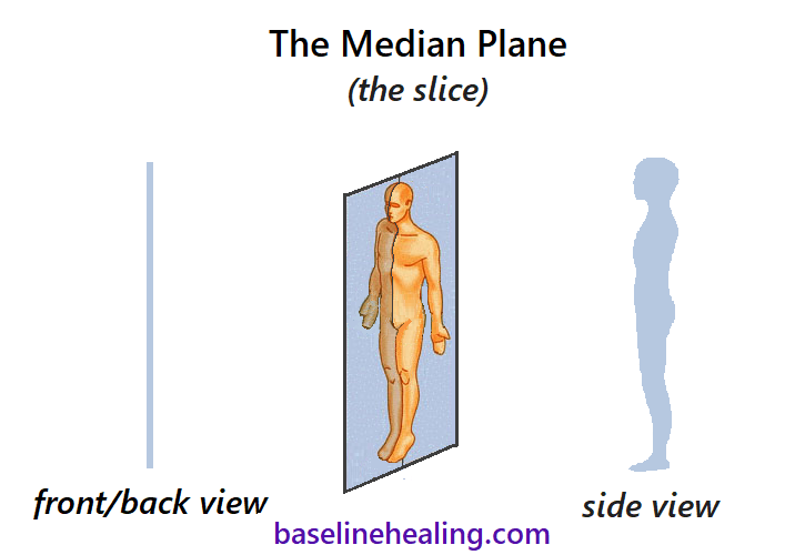 Three images showing the median plane from different perspectives. The first image is of a human figure at an angle, showing the thinnest slice (plane) from head to pelvis that splits the body into left and right halves. Also known as the mid-sagittal plane, the median plane is our true midline, left and right halves of the body are balanced. The second image shows the median plane as seen from the side - a 2d shape with a front and a back that cuts through the body. The third image shows a straight, thin line.  This is the median plane when viewed from the front or back. If our midline anatomy lies on the median plane then the body is aligned and balanced.